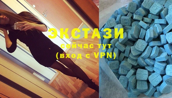 СК Богородицк
