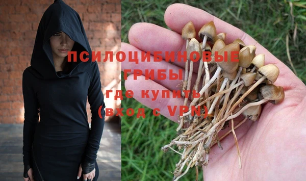 молекула духа Богородск