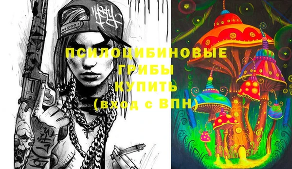 mdma Богданович