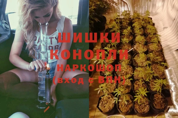 СК Богородицк