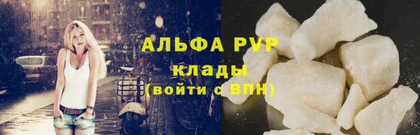 молекула духа Богородск