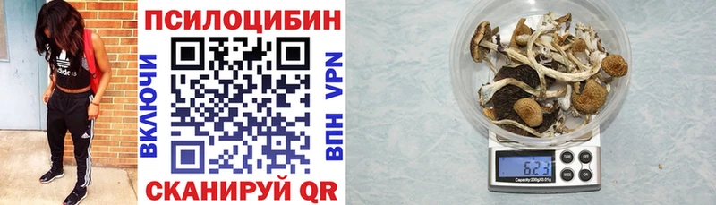 Псилоцибиновые грибы ЛСД  Купить  Володарск 